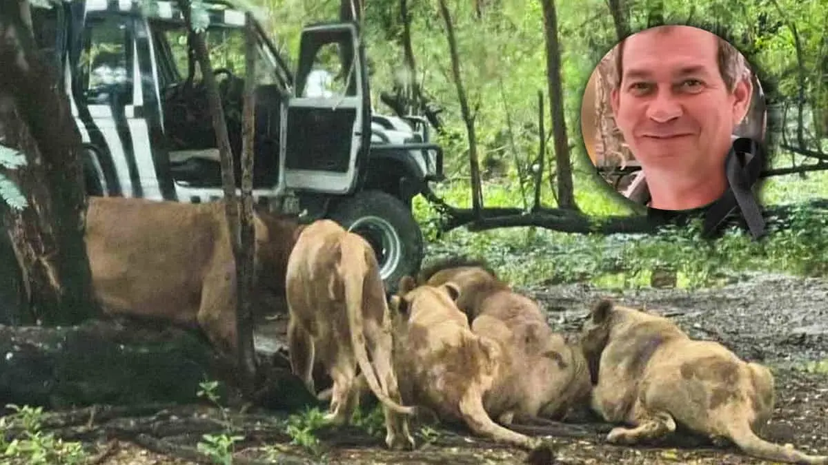 VIDEO | Muere devorado por manada de leones en un zoológico; al parecer el cuidador omitió las reglas