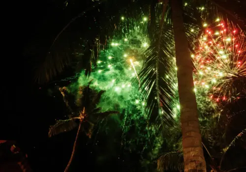 Coordinación Nacional de Protección Civil llama a priorizar seguridad en Fiestas Patrias
