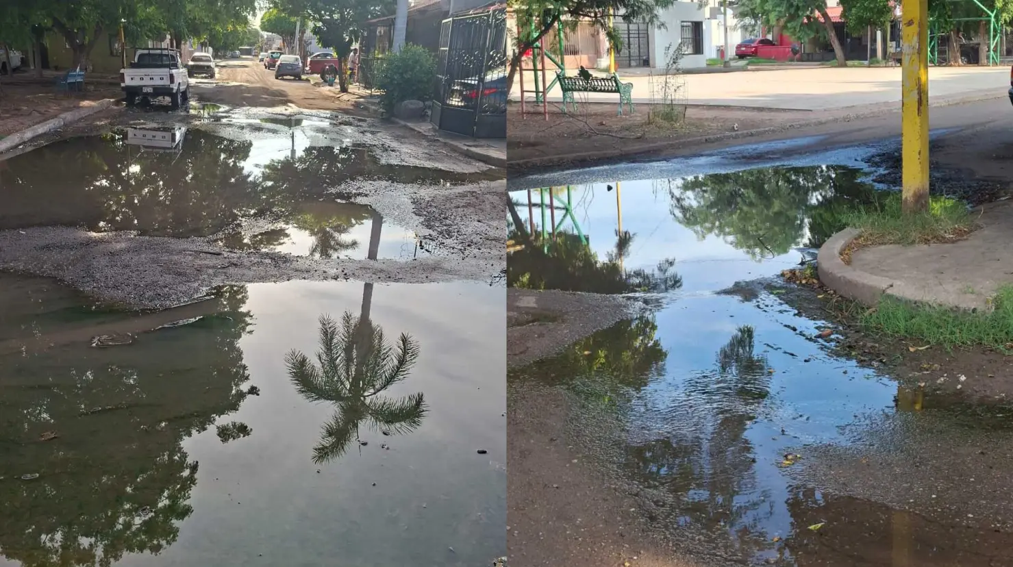 Habitantes de Miravalle temen brote de dengue