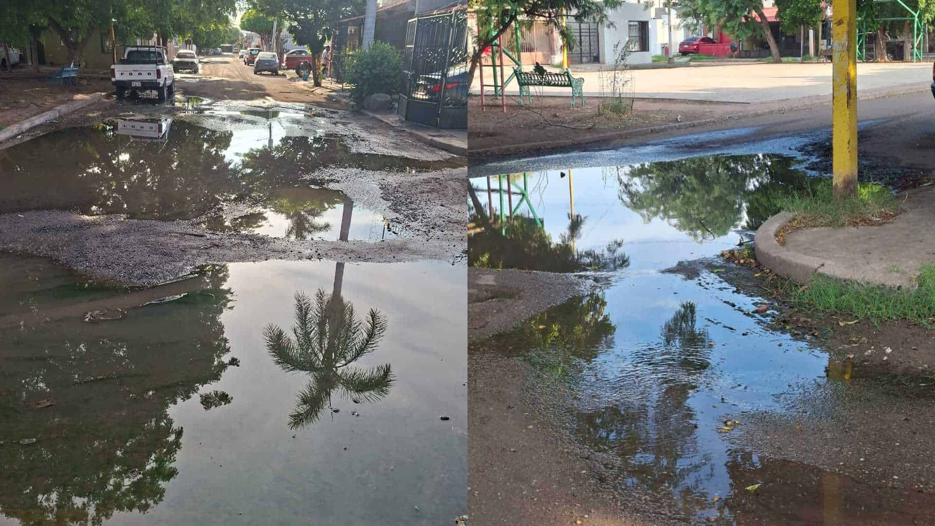 Habitantes de Miravalle temen brote de dengue