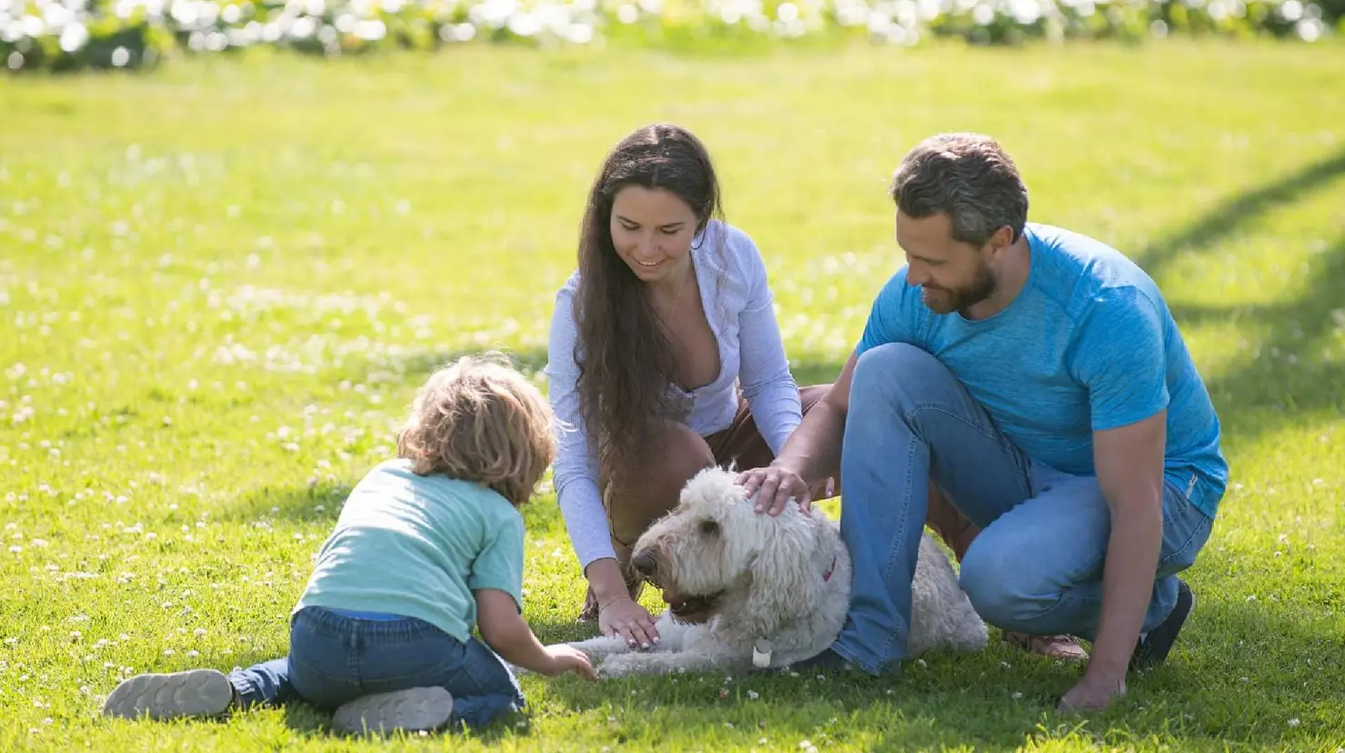¿Sientes que el tiempo se escapa? 5 Actividades para disfrutar en familia que cambiarán todo
