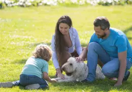 ¿Sientes que el tiempo se escapa? 5 Actividades para disfrutar en familia que cambiarán todo