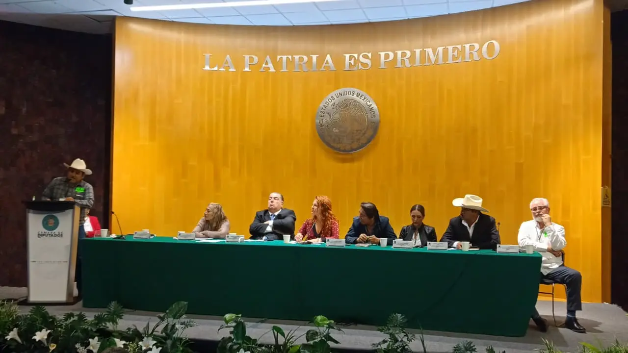 Pescadores del sur de Sonora exigen apoyo en Cámara de Diputados