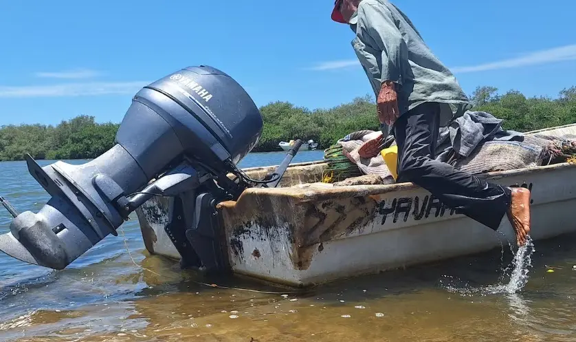 Pescadores del sur de Sonora están endeudados, pero salen por el camarón