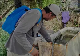 Llaman navojoenses a reforzar el combate al dengue