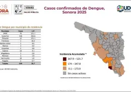 Acumula Sonora 649 casos de dengue