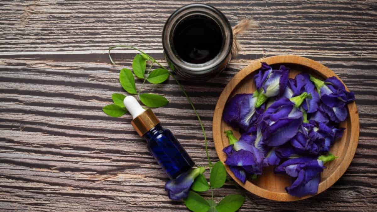 Los beneficios del bakuchiol, ¿el secreto de una piel radiante y sin irritación?