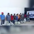 Detienen a once por robo de camarón a granja acuícola en Hermosillo