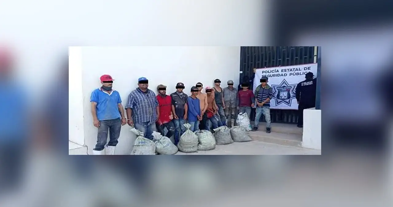 Detienen a once por robo de camarón a granja acuícola en Hermosillo