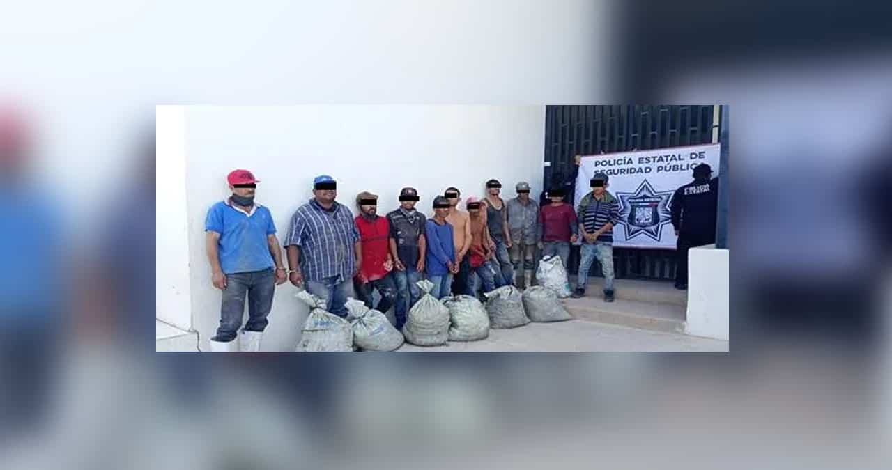 Detienen a once por robo de camarón a granja acuícola en Hermosillo
