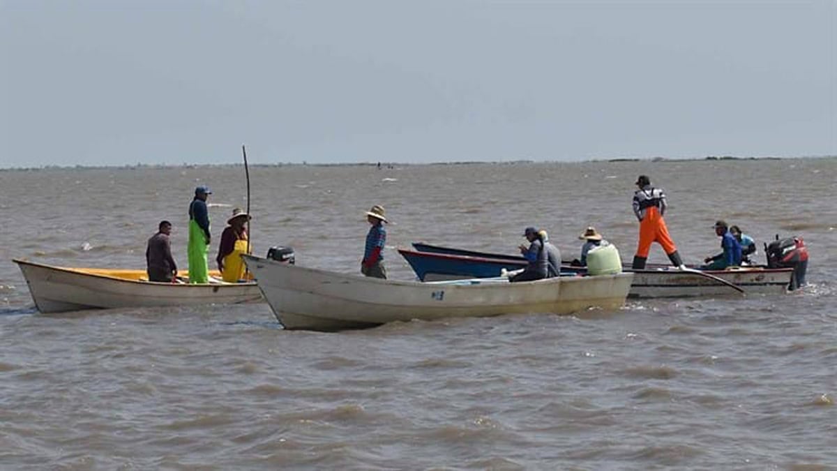 Listos pescadores para ir por el oro rosado