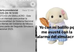 ¿Te asustó la alarma sísmica? Estos son los mejores memes que dejó el Simulacro Nacional 2025 este 19 de septiembre