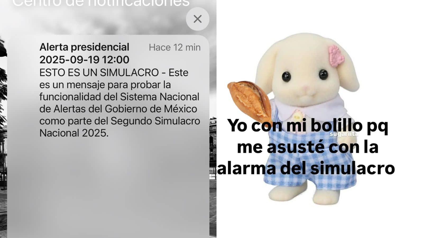 ¿Te asustó la alarma sísmica? Estos son los mejores memes que dejó el Simulacro Nacional 2025 este 19 de septiembre