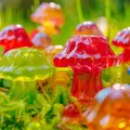 ¿Son seguras las gomitas de hongos? La verdad detrás de la moda viral y sus efectos secundarios