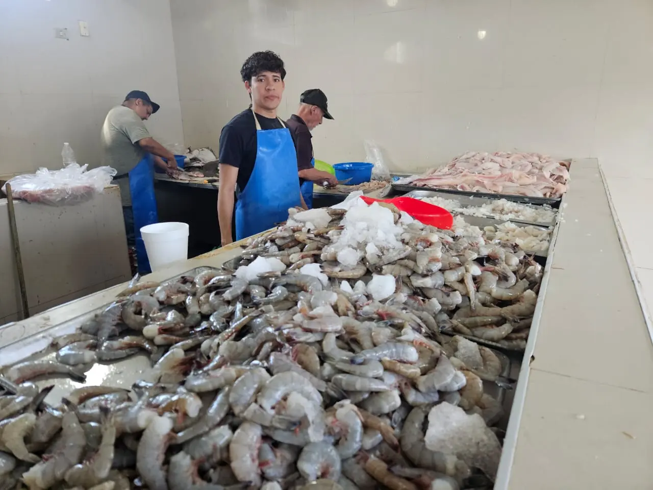 Ayuda inicio de zafra a bajar precio del camarón