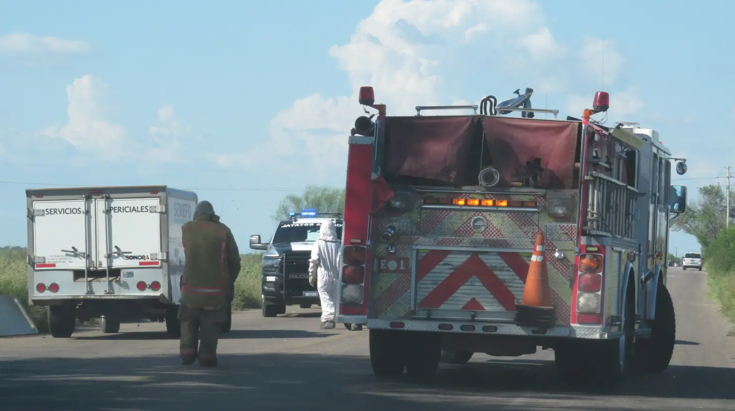 Muere sexagenario tras ser atacado por abejas en el Valle del Yaqui
