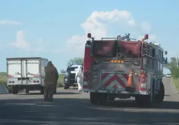 Muere sexagenario tras ser atacado por abejas en el Valle del Yaqui