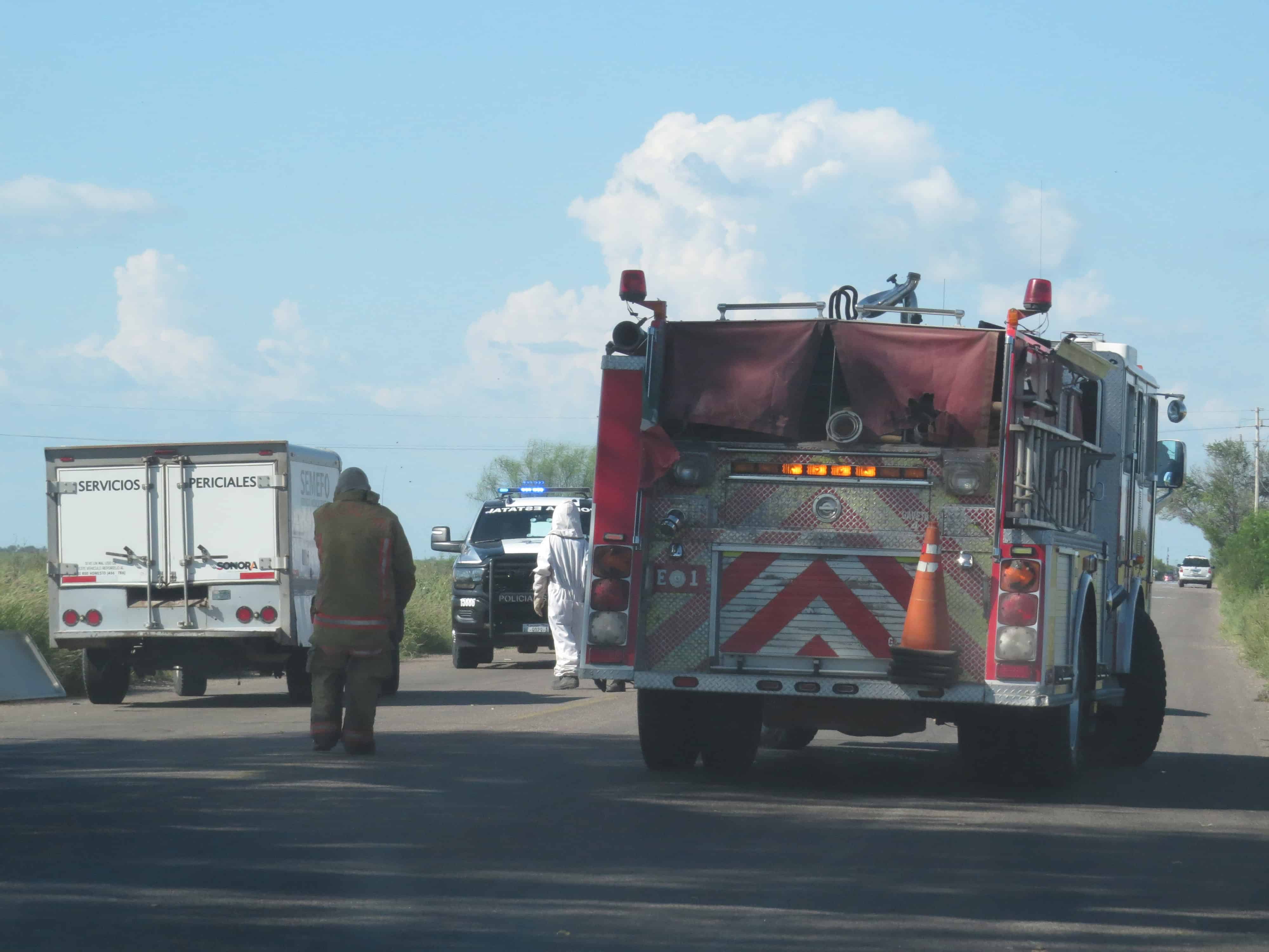 Muere sexagenario tras ser atacado por abejas en el Valle del Yaqui