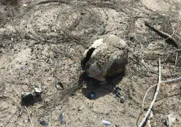 Madres Buscadoras de Sonora encuentran cuerpo calcinado