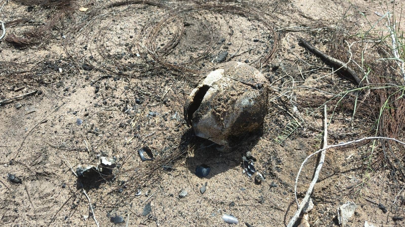 Madres Buscadoras de Sonora encuentran cuerpo calcinado