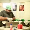 Primera Clínica del Bienestar Animal podría estar lista a fin de año