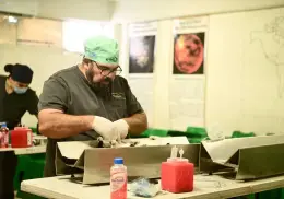 Primera Clínica del Bienestar Animal podría estar lista a fin de año