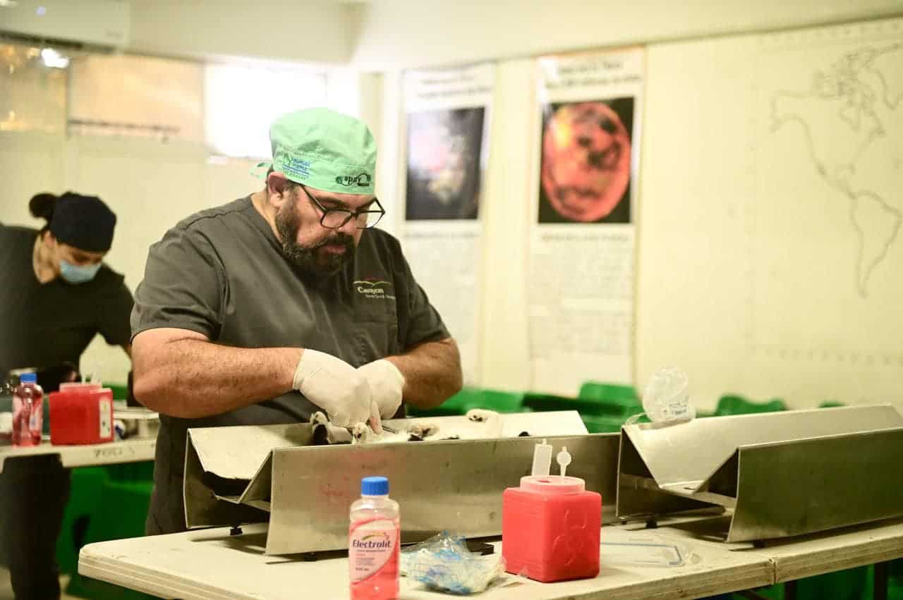 Primera Clínica del Bienestar Animal podría estar lista a fin de año