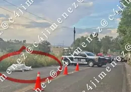 Estos fueron los últimos mensajes de los artistas colombianos asesinados en México