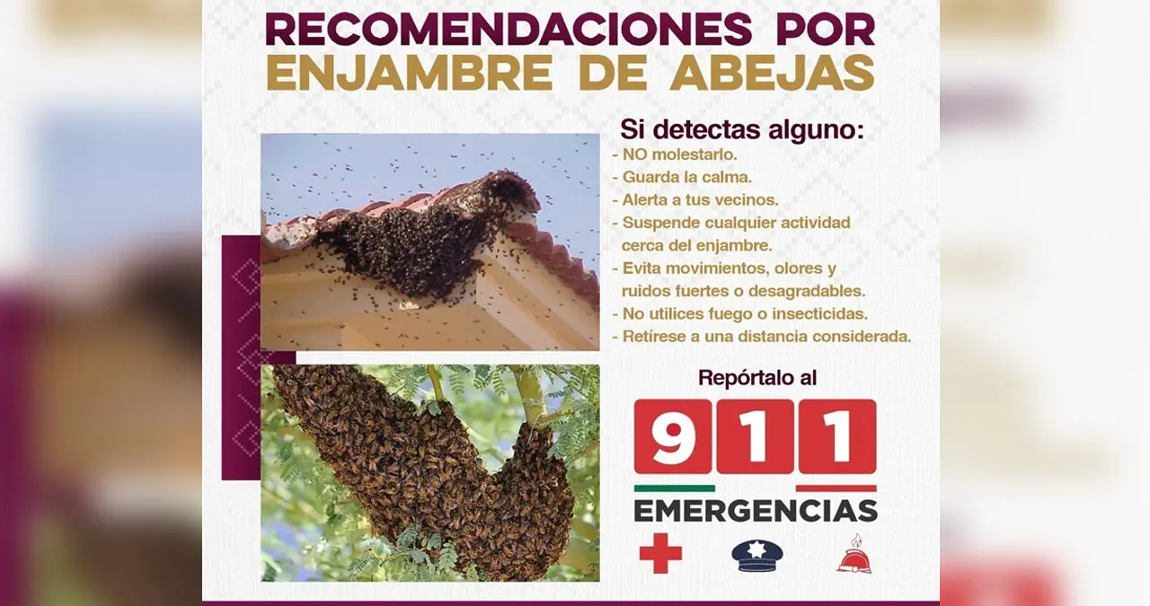 Ante este tipo de situaciones, el 9-1-1, en conjunto con Protección Civil, recomienda varias medidas de seguridad.