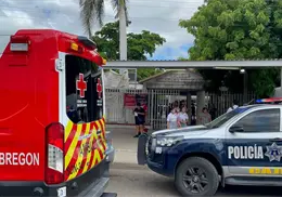 Evacuan otra escuela por abejas en Obregón