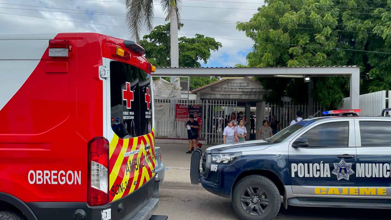 Evacuan otra escuela por abejas en Obregón