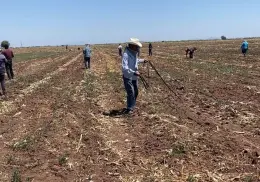 Productores se preparan para el nuevo ciclo agrícola