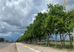 Reforzarán vigilancia en unidades deportivas en Navojoa