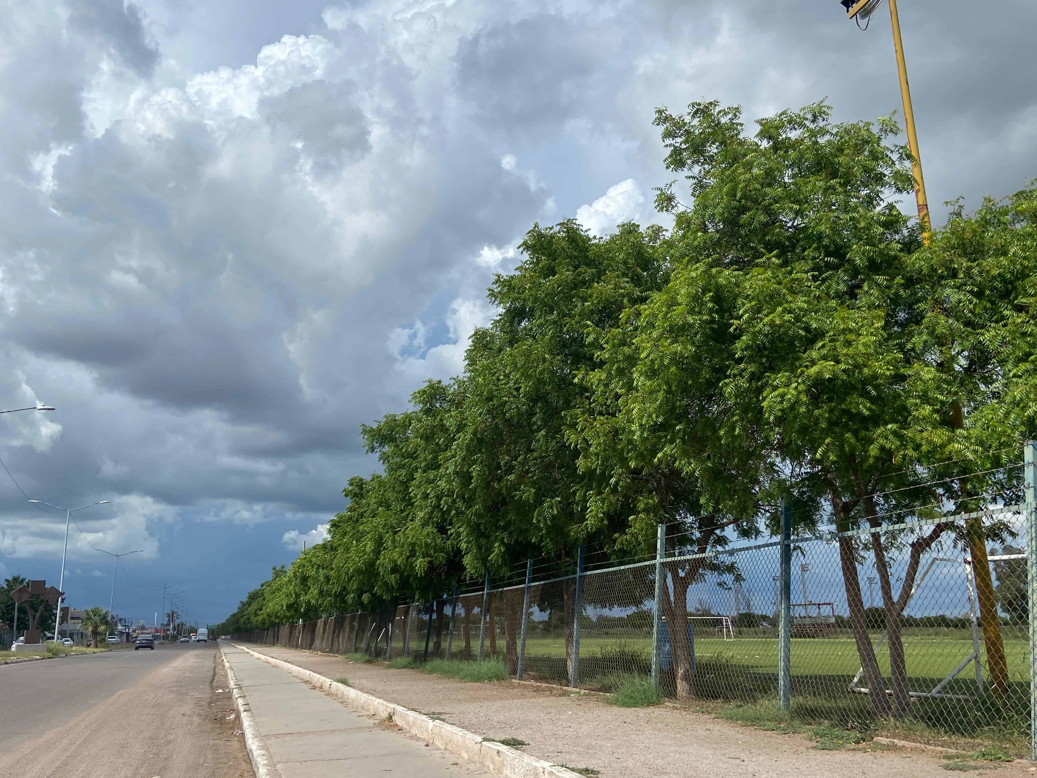 Reforzarán vigilancia en unidades deportivas en Navojoa