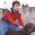 Amores Perros será proyectado en Bellas Artes, esto es lo que se sabe