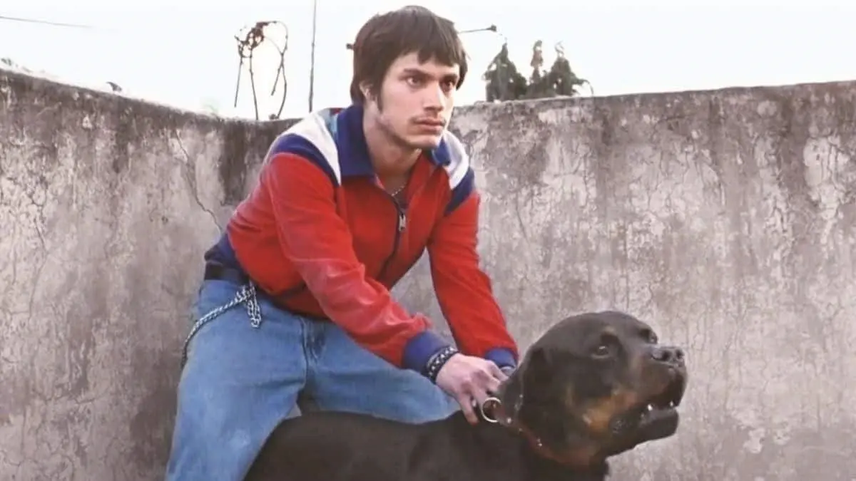“Amores Perros” Celebrará 25 Años con Proyección 4K y Concierto de Santaolalla en Bellas Artes