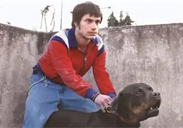 Amores Perros será proyectado en Bellas Artes, esto es lo que se sabe
