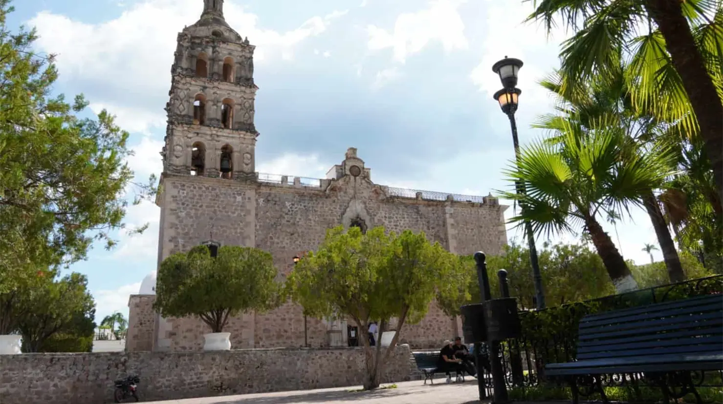 Álamos con decremento poblacional en los últimos años