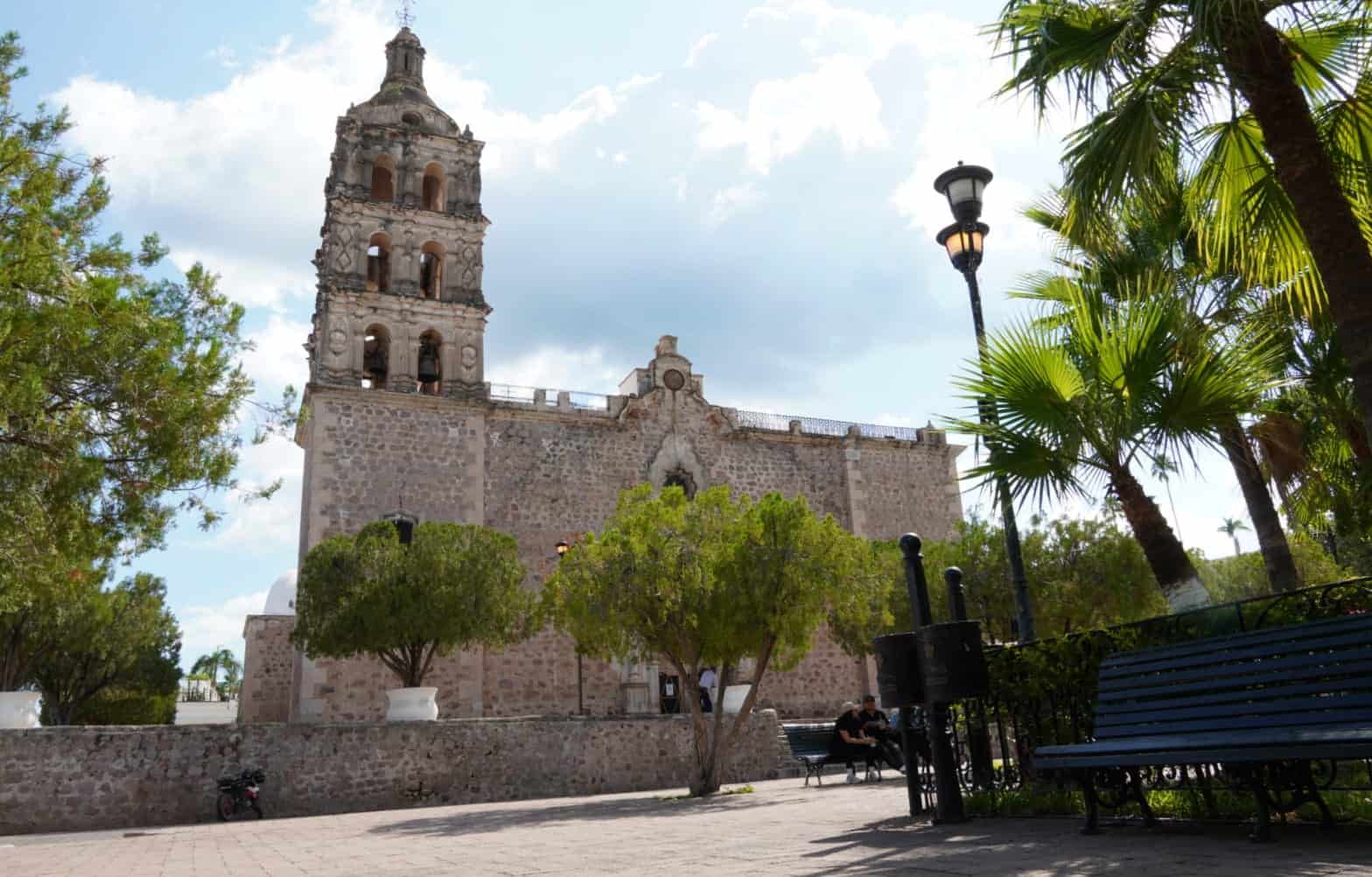 Álamos con decremento poblacional en los últimos años