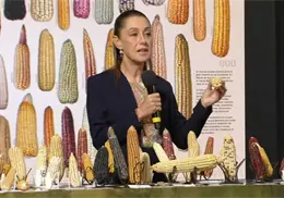 Día Nacional del Maíz: Gobierno de México destaca la importancia de proteger la diversidad del grano