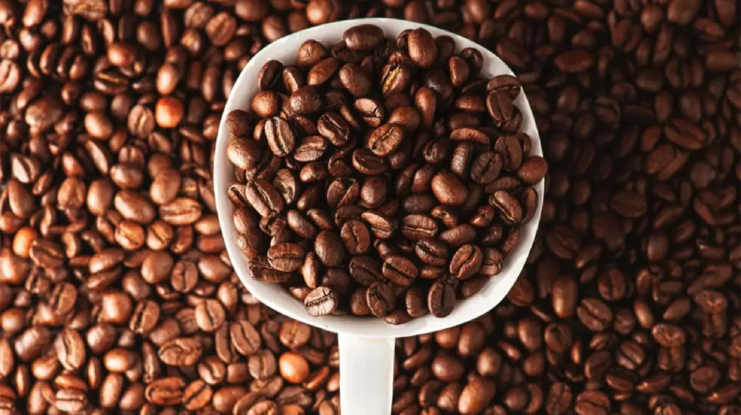 Celebra el Día del Café con estos rituales para la abundancia y el éxito