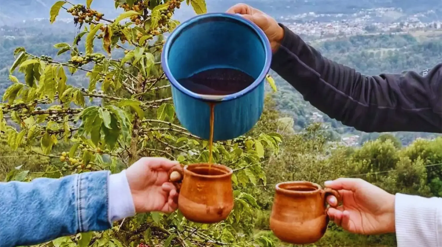 Día Internacional del Café: Así es como los mexicanos consumen esta popular bebida