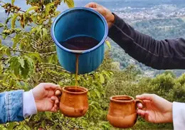 Día Internacional del Café: Así es como los mexicanos consumen esta popular bebida
