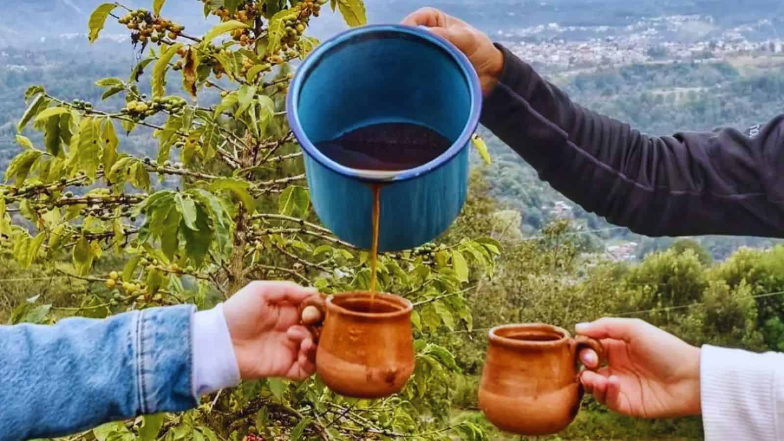 Día Internacional del Café: Así es como los mexicanos consumen esta popular bebida
