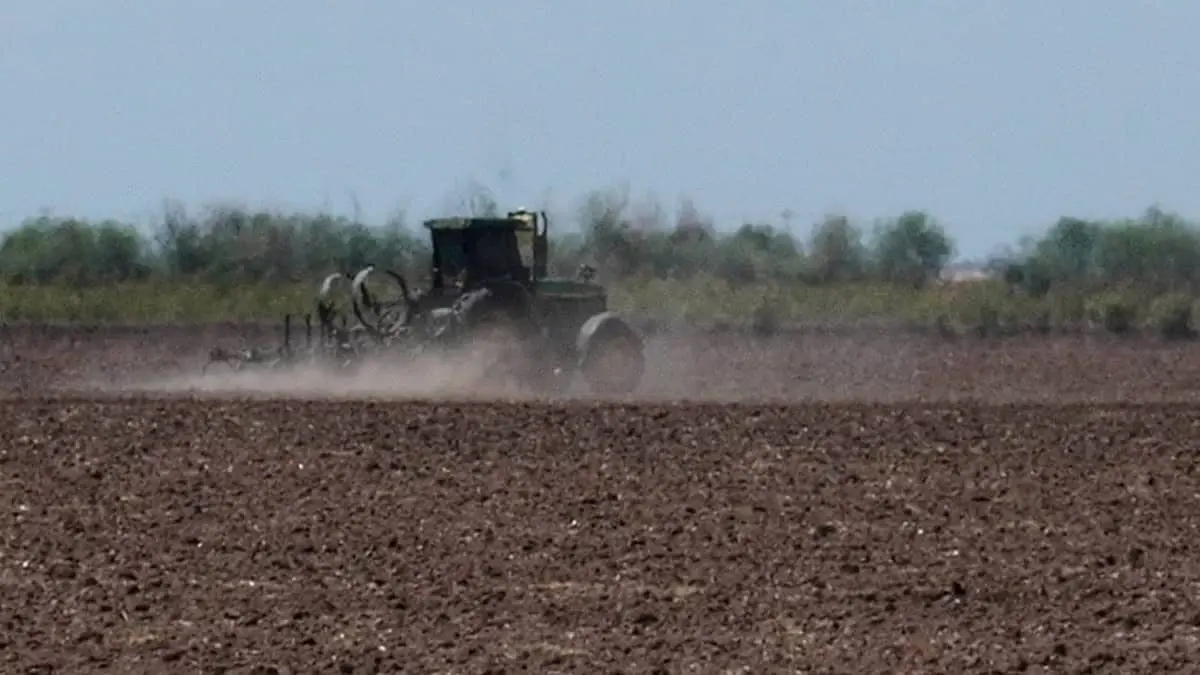 Entrampado, ciclo agrícola 2025–2026