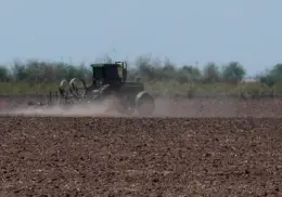 Entrampado, ciclo agrícola 2025–2026