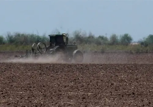 Entrampado, ciclo agrícola 2025–2026