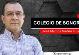 La historia... ¿se estudia profesionalmente?