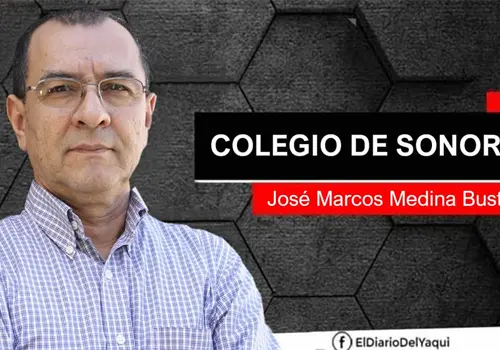 La historia... ¿se estudia profesionalmente?