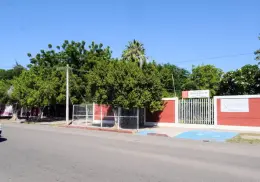 Piden permiso para podar árboles en CAM 52 de Cajeme